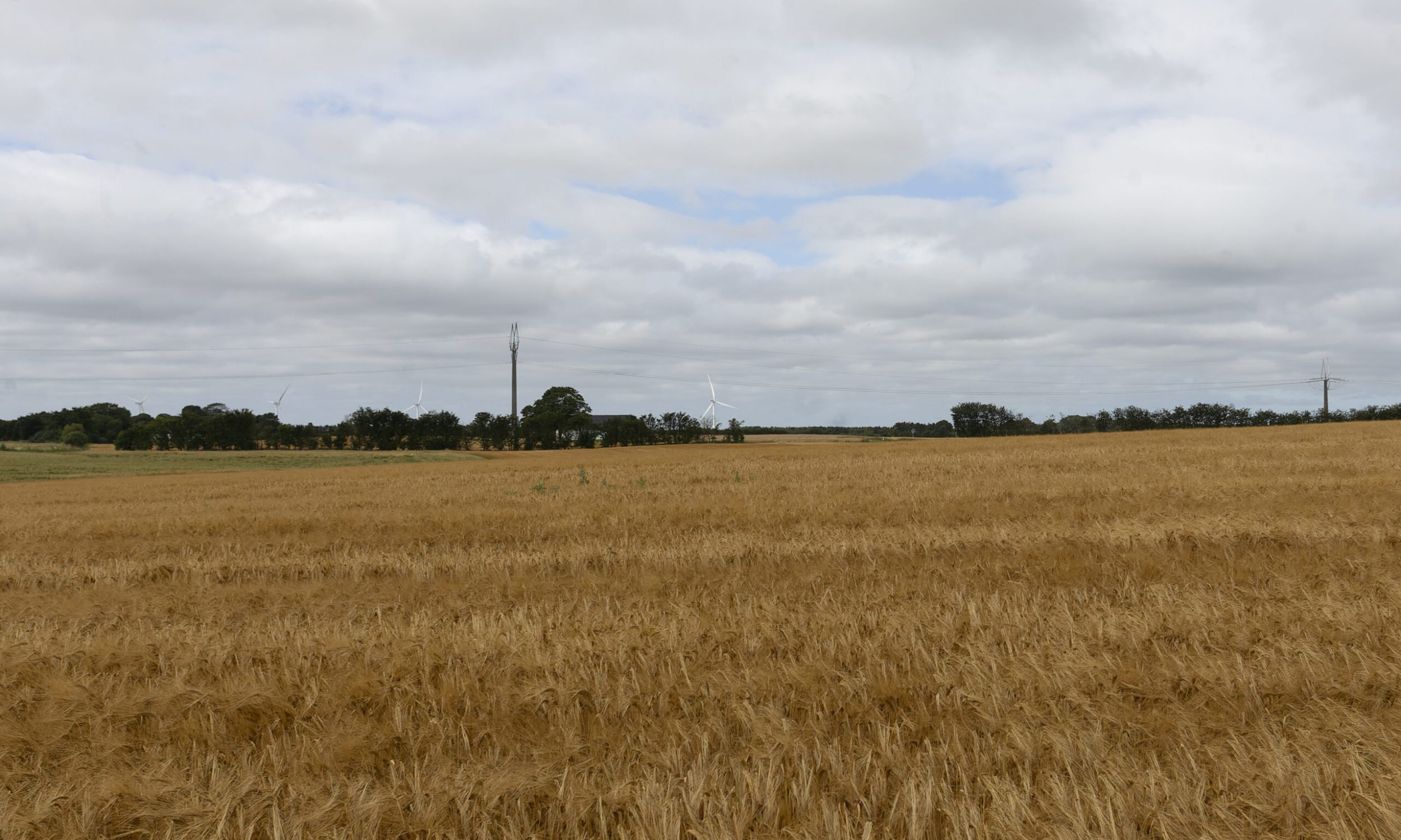 Rodhøj_Fotopunkt_03_Eksist