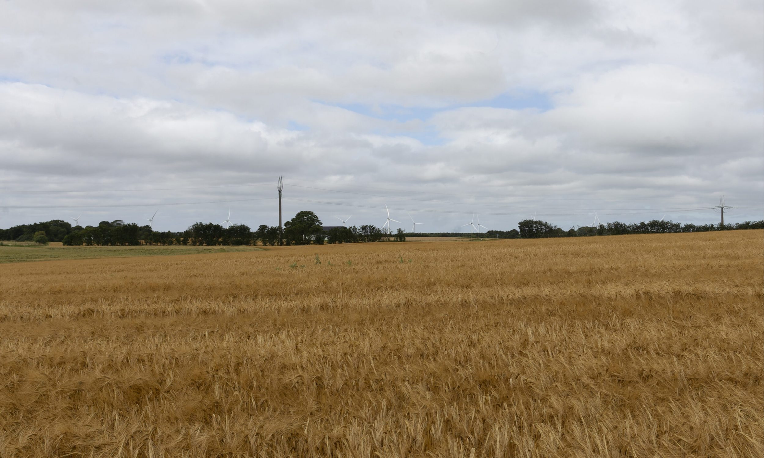 Rodhøj_Fotopunkt_03_visualisering